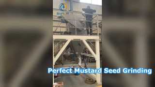 Pin mill for grinding mustard seeds