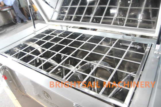 Brightsail Washing Powder Production Mixer SUS304 Ribbon Blender