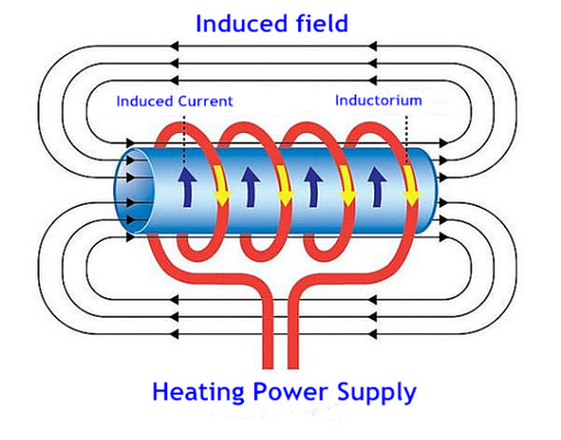 Chili Roasting Machine — Uniform Roasting, Better Flavor