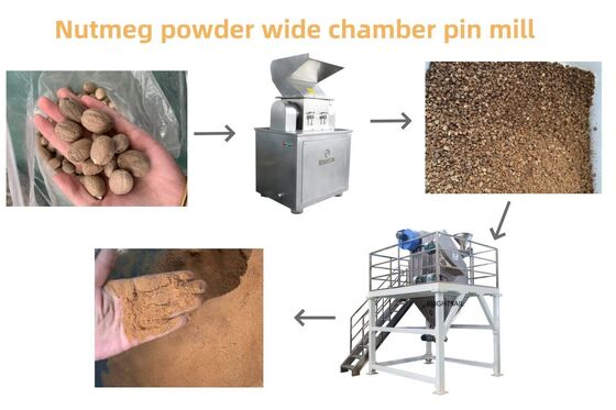 Mustard Seed Grinding Machine Pin Mill Powder Mill for Oil Seeds and Spices