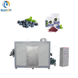 Fine Fruit Powder Milling Machine Blue Berry Banana Flour Cryogenic Pulverizer