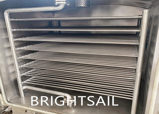 Square Fresh Fruits Mango 500kg/Batch Oven Drying Machine