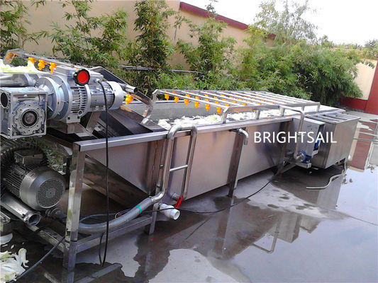 1750kg Fruit Frequency Control Vegetable Bubble Washer